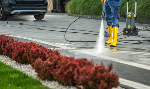 Best Pressure Washing Services for Businesses  in Jackpot, NV